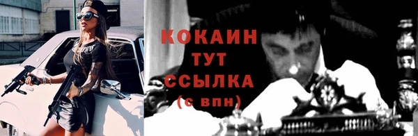 молекула духа Богородск
