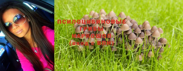 молекула духа Богородск