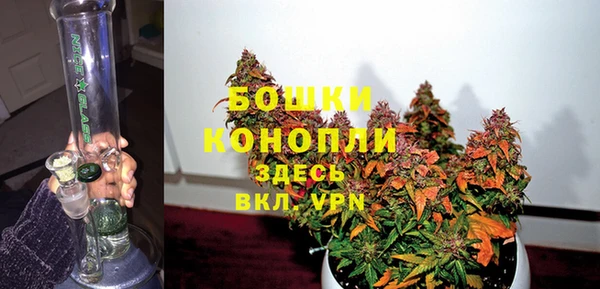 молекула духа Богородск